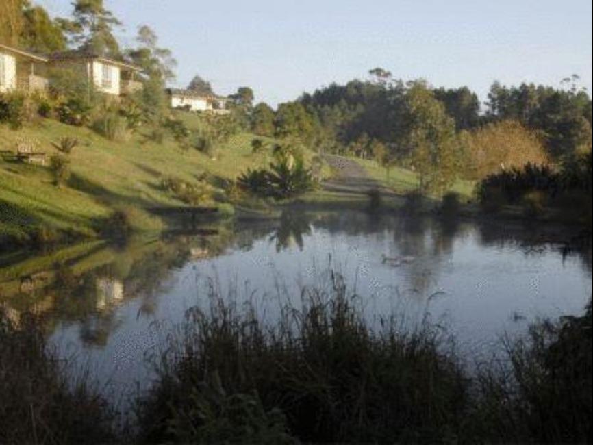 Avalon Kerikeri