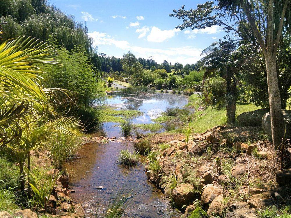 Resort Avalon Kerikeri